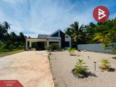 ขายบ้านเดี่ยวพร้อมที่ดิน เนื้อที่ 1 ไร่ 1 งาน 84.4 ตร.วา บ้านปรก สมุทรสงคราม-202511251111271764043887374.jpg