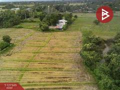 ขายที่ดินที่นา เนื้อที่ 4 ไร่ 3 งาน 62 ตารางวา สันกำแพง เชียงใหม่-202511251144441764045884383.jpg