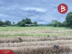 ขายที่ดินที่นา เนื้อที่ 4 ไร่ 3 งาน 62 ตารางวา สันกำแพง เชียงใหม่-202511251144441764045884930.jpg