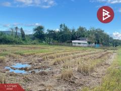 ขายที่ดินที่นา เนื้อที่ 4 ไร่ 3 งาน 62 ตารางวา สันกำแพง เชียงใหม่-202511251144451764045885483.jpg