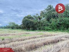 ขายที่ดินที่นา เนื้อที่ 4 ไร่ 3 งาน 62 ตารางวา สันกำแพง เชียงใหม่-202511251144461764045886048.jpg