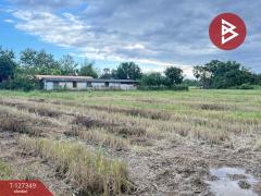 ขายที่ดินที่นา เนื้อที่ 4 ไร่ 3 งาน 62 ตารางวา สันกำแพง เชียงใหม่-202511251144461764045886599.jpg