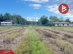 ขายที่ดินที่นา เนื้อที่ 4 ไร่ 3 งาน 62 ตารางวา สันกำแพง เชียงใหม่-202511251144471764045887336.jpg