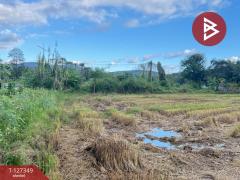 ขายที่ดินที่นา เนื้อที่ 4 ไร่ 3 งาน 62 ตารางวา สันกำแพง เชียงใหม่-202511251144471764045887893.jpg