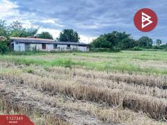 ขายที่ดินที่นา เนื้อที่ 4 ไร่ 3 งาน 62 ตารางวา สันกำแพง เชียงใหม่-202511251144481764045888447.jpg