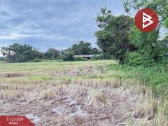 ขายที่ดินที่นา เนื้อที่ 4 ไร่ 3 งาน 62 ตารางวา สันกำแพง เชียงใหม่-202511251144491764045889004.jpg