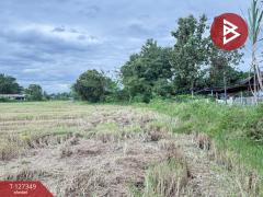 ขายที่ดินที่นา เนื้อที่ 4 ไร่ 3 งาน 62 ตารางวา สันกำแพง เชียงใหม่-202511251144491764045889564.jpg