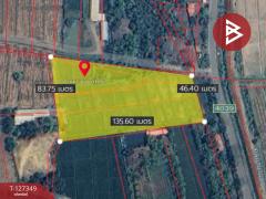 ขายที่ดินที่นา เนื้อที่ 4 ไร่ 3 งาน 62 ตารางวา สันกำแพง เชียงใหม่-202511251144501764045890709.jpg