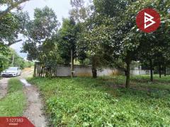 ขายที่ดินพร้อมสวน เนื้อที่ 2 งาน บ้านแลง ระยอง-202511251242311764049351390.jpg