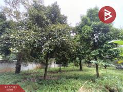 ขายที่ดินพร้อมสวน เนื้อที่ 2 งาน บ้านแลง ระยอง-202511251242311764049351996.jpg