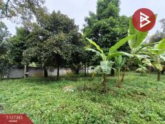 ขายที่ดินพร้อมสวน เนื้อที่ 2 งาน บ้านแลง ระยอง-202511251242331764049353784.jpg