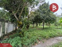 ขายที่ดินพร้อมสวน เนื้อที่ 2 งาน บ้านแลง ระยอง-202511251242341764049354582.jpg