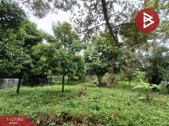 ขายที่ดินพร้อมสวน เนื้อที่ 2 งาน บ้านแลง ระยอง-202511251242351764049355760.jpg