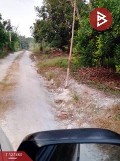 ขายที่ดินพร้อมสวน เนื้อที่ 2 งาน บ้านแลง ระยอง-202511251242391764049359147.jpg