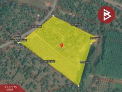 ขายที่ดิน เนื้อที่ 25 ไร่ 3 งาน 62 ตร.วา ขลุง จันทบุรี