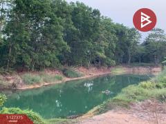 ขายที่ดิน เนื้อที่ 25 ไร่ 3 งาน 62 ตร.วา ขลุง จันทบุรี-202511251333371764052417813.jpg