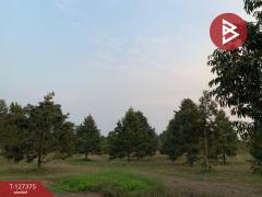 ขายที่ดิน เนื้อที่ 25 ไร่ 3 งาน 62 ตร.วา ขลุง จันทบุรี-202511251333381764052418924.jpg