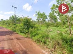 ขายที่ดิน เนื้อที่ 18 ไร่ 1 งาน 32 ตารางวา ต.โพธิ์ชัย หนองคาย-202511251419301764055170205.jpg