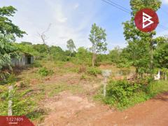 ขายที่ดิน เนื้อที่ 18 ไร่ 1 งาน 32 ตารางวา ต.โพธิ์ชัย หนองคาย-202511251419301764055170747.jpg