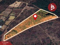 ขายที่ดิน เนื้อที่ 18 ไร่ 1 งาน 32 ตารางวา ต.โพธิ์ชัย หนองคาย-202511251419311764055171439.jpg