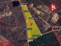 ขายที่ดิน เนื้อที่ 18 ไร่ 1 งาน 32 ตารางวา ต.โพธิ์ชัย หนองคาย-202511251419311764055171980.jpg