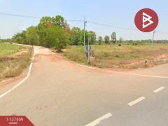 ขายที่ดิน เนื้อที่ 18 ไร่ 1 งาน 32 ตารางวา ต.โพธิ์ชัย หนองคาย-202511251419331764055173057.jpg