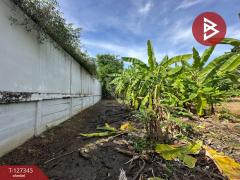 ขายที่ดิน เนื้อที่ 3 งาน 75 ตร.วา พระโขนง กรุงเทพมหานคร-202511251422421764055362897.jpg