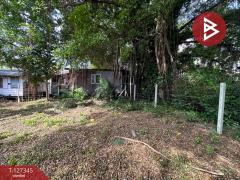 ขายที่ดิน เนื้อที่ 3 งาน 75 ตร.วา พระโขนง กรุงเทพมหานคร-202511251422441764055364524.jpg