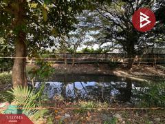 ขายที่ดิน เนื้อที่ 3 งาน 75 ตร.วา พระโขนง กรุงเทพมหานคร-202511251422451764055365074.jpg