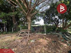 ขายที่ดิน เนื้อที่ 3 งาน 75 ตร.วา พระโขนง กรุงเทพมหานคร-202511251422451764055365624.jpg