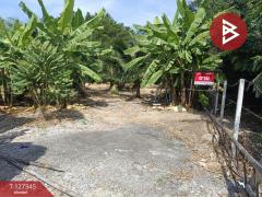 ขายที่ดิน เนื้อที่ 3 งาน 75 ตร.วา พระโขนง กรุงเทพมหานคร-202511251422471764055367162.jpg