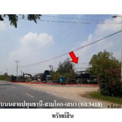 ขายบ้านเดี่ยว ถ.สายปทุมธานี-สามโคก-เสนา ต.บางไทร อ.บางไทร พระนครศรีอยุธยา