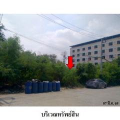 ขายที่ดินว่างเปล่า ถ.สายบางปะอิน-อุทัย ต.สามเรือนอ.บางปะอิน อยุธยา 