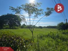 ขายที่ดินเปล่า เนื้อที่ 3 ไร่ โพรงมะเดื่อ นครปฐม-202511251455181764057318312.jpg