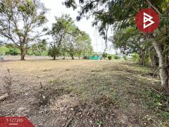 ขายที่ดิน เนื้อที่ 1 งาน บางคนที สมุทรสงคราม