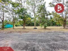 ขายที่ดิน เนื้อที่ 1 งาน บางคนที สมุทรสงคราม-202511251507281764058048819.jpg