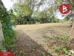 ขายที่ดิน เนื้อที่ 1 งาน บางคนที สมุทรสงคราม-202511251507291764058049381.jpg