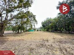 ขายที่ดิน เนื้อที่ 1 งาน บางคนที สมุทรสงคราม-202511251507291764058049935.jpg