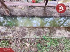 ขายที่ดิน เนื้อที่ 1 งาน บางคนที สมุทรสงคราม-202511251507301764058050480.jpg