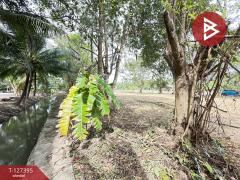 ขายที่ดิน เนื้อที่ 1 งาน บางคนที สมุทรสงคราม-202511251507311764058051570.jpg