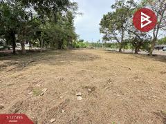 ขายที่ดิน เนื้อที่ 1 งาน บางคนที สมุทรสงคราม-202511251507321764058052660.jpg