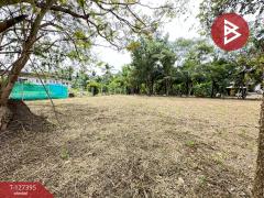 ขายที่ดิน เนื้อที่ 1 งาน บางคนที สมุทรสงคราม-202511251507331764058053204.jpg