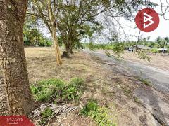 ขายที่ดิน เนื้อที่ 1 งาน บางคนที สมุทรสงคราม-202511251507331764058053755.jpg