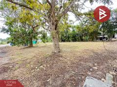 ขายที่ดิน เนื้อที่ 1 งาน บางคนที สมุทรสงคราม-202511251507341764058054303.jpg