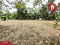 ขายที่ดิน เนื้อที่ 1 งาน บางคนที สมุทรสงคราม-202511251507351764058055396.jpg