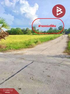 ขายที่ดิน เนื้อที่ 8 ไร่ 63 ตร.วา พิมาย นครราชสีมา