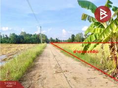 ขายที่ดิน เนื้อที่ 8 ไร่ 63 ตร.วา พิมาย นครราชสีมา-202511251512311764058351058.jpg