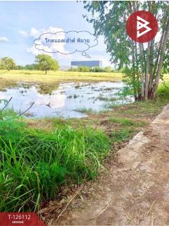 ขายที่ดิน เนื้อที่ 8 ไร่ 63 ตร.วา พิมาย นครราชสีมา-202511251512321764058352549.jpg