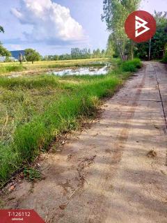 ขายที่ดิน เนื้อที่ 8 ไร่ 63 ตร.วา พิมาย นครราชสีมา-202511251512331764058353775.jpg