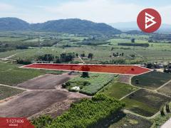 ขายที่ดิน-เนื้อที่-10-ไร่-3-งาน-5-ตร.วา-บ้